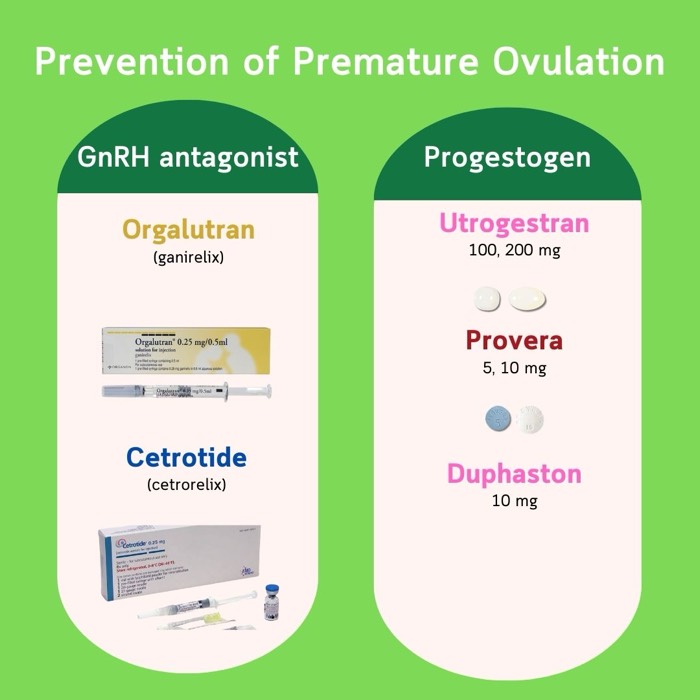 Verhinderung eines vorzeitigen Eisprungs — GnRH-Antagonisten (Orgalutran, Cetrotide) und Gestagene (Utrogestran, Provera, Duphaston)