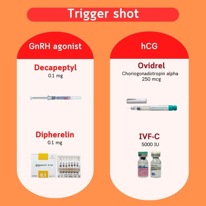 Auslösespritzen — GnRH-Agonisten (Decapeptyl, Diphereline) und hCG (Ovidrel, IVF-C)