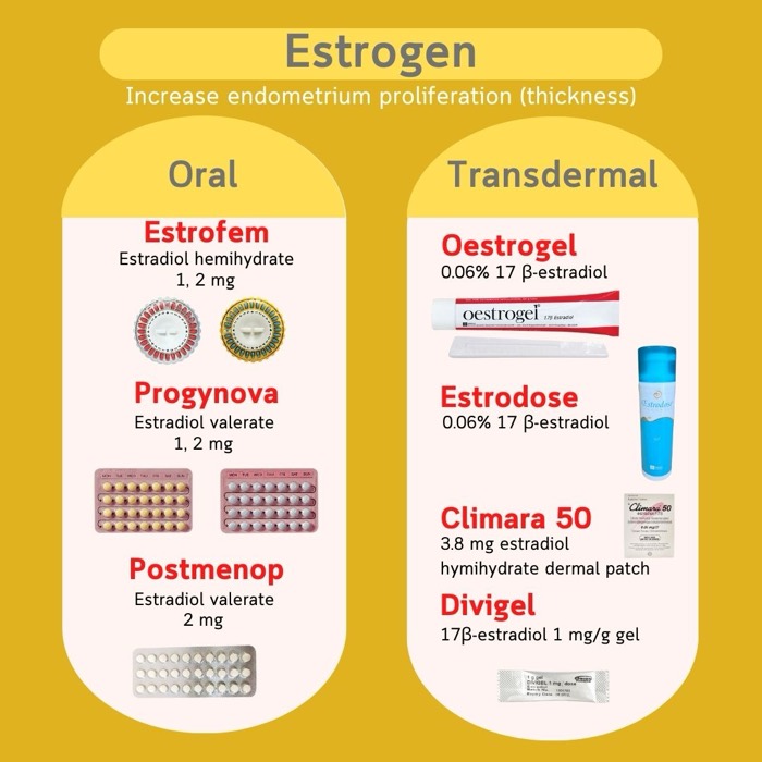 Östrogene zur Vorbereitung des Endometriums — oral (Estrofem, Progynova, Postmenop) und transdermal (Oestrogel, Estrodose, Climara, Divigel)