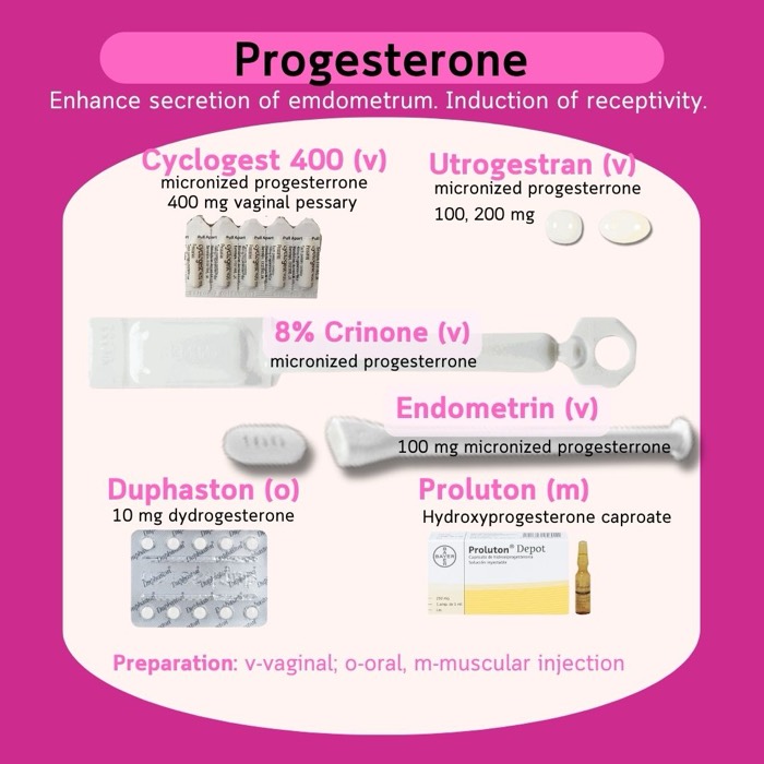 Progesteronpräparate zur Vorbereitung und Unterstützung des Endometriums — Cyclogest, Utrogestran, Endometrin, Crinone, Duphaston, Proluton